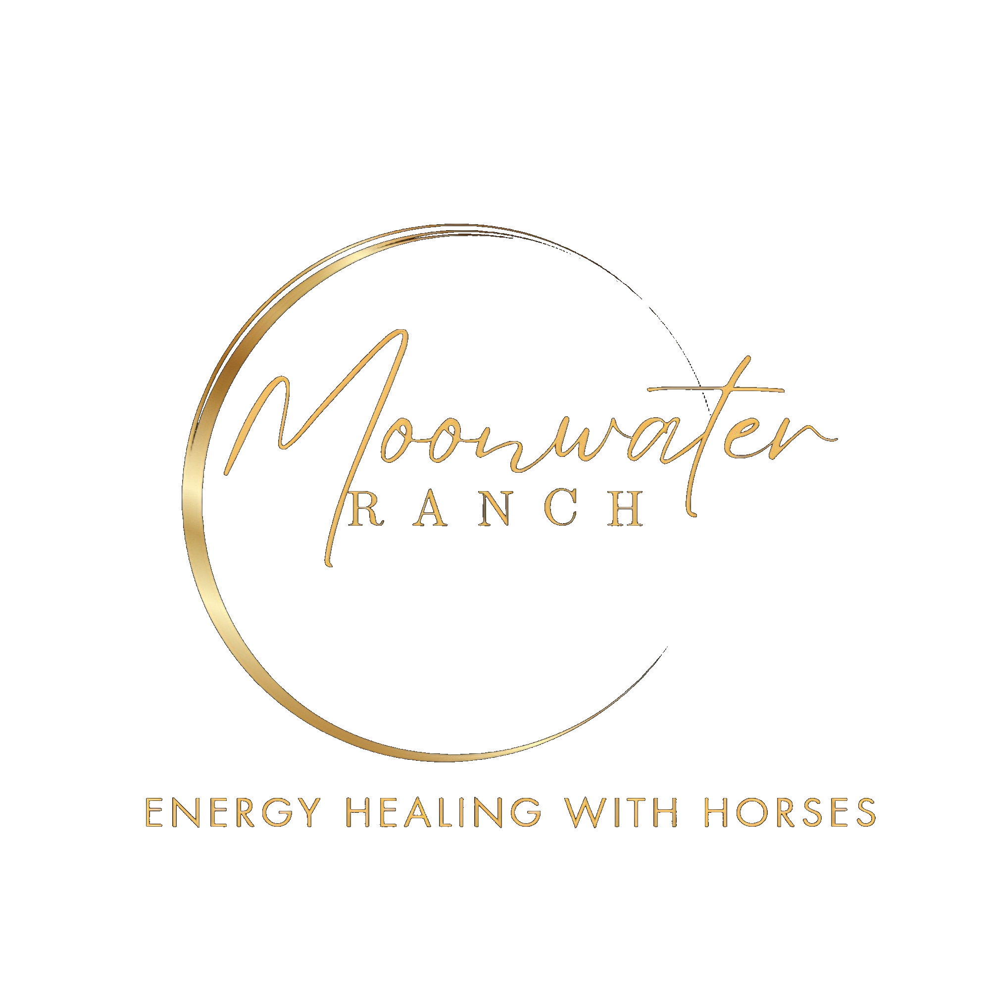 Moonwater Ranch — Energy Healing with Horses